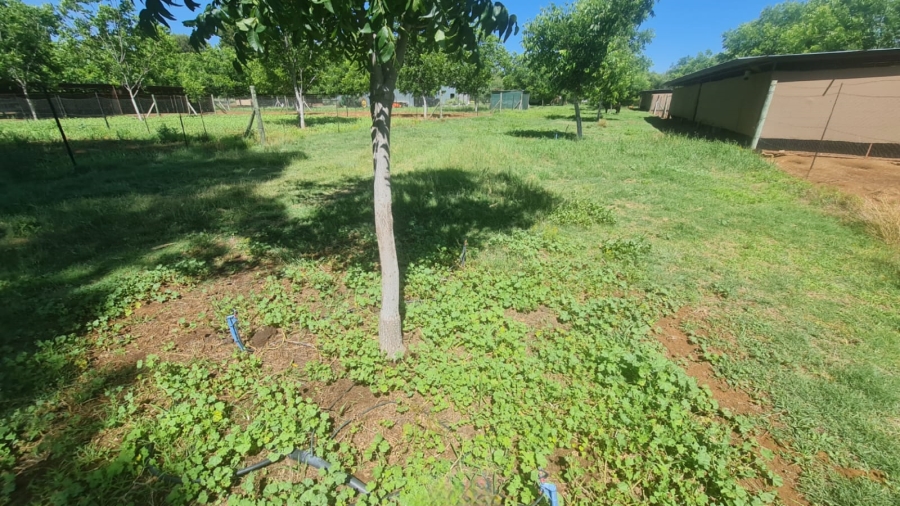 Commercial Property for Sale in Bainsvlei Free State